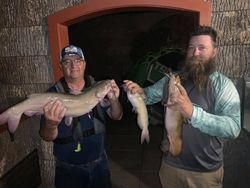 Night Fishing In Missouri